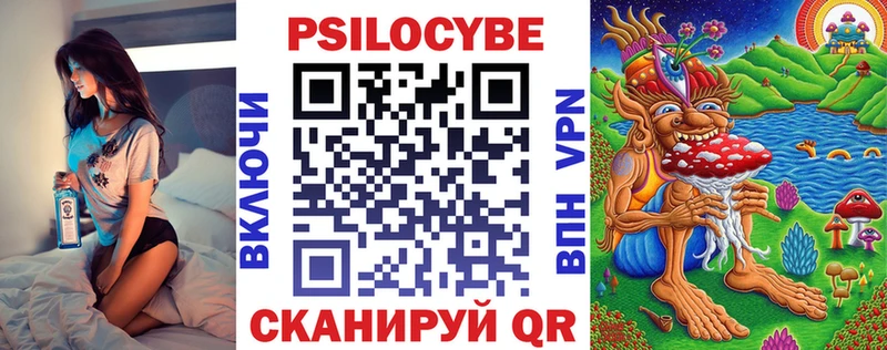 купить цена Олонец Галлюциногенные грибы Cubensis
